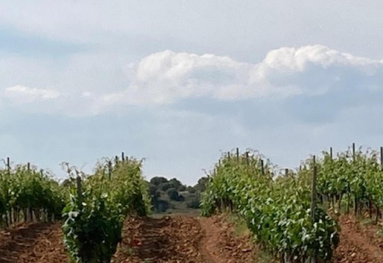 Apartamento turístico cerca Aranda de Duero La Ren Lecrés Vadocondes Extérieur photo