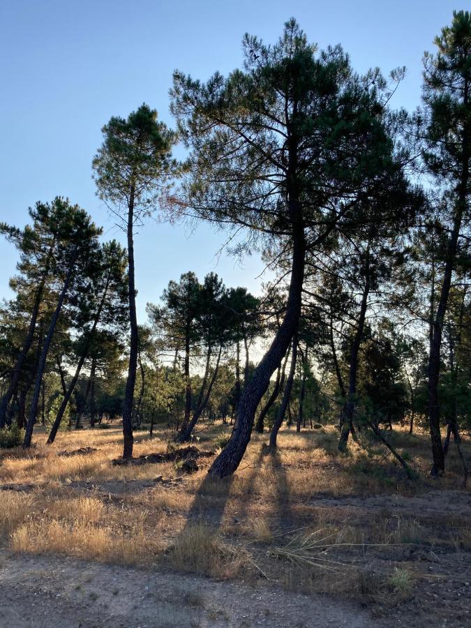 Apartamento turístico cerca Aranda de Duero La Ren Lecrés Vadocondes Extérieur photo